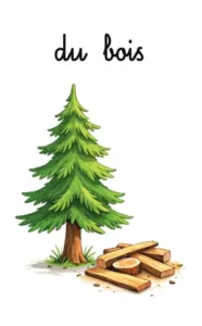 Un sapin et des planches de bois