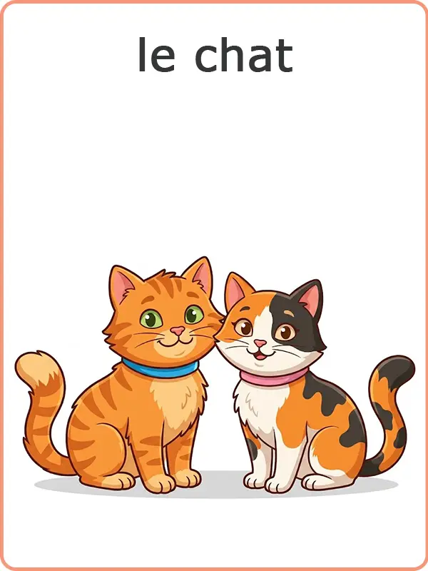 orthographe du mot chat avec T muet